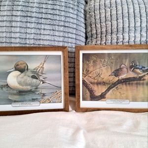 Pair of pictures